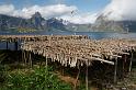 20080621_Lofoten 2008_2152_DxO_raw